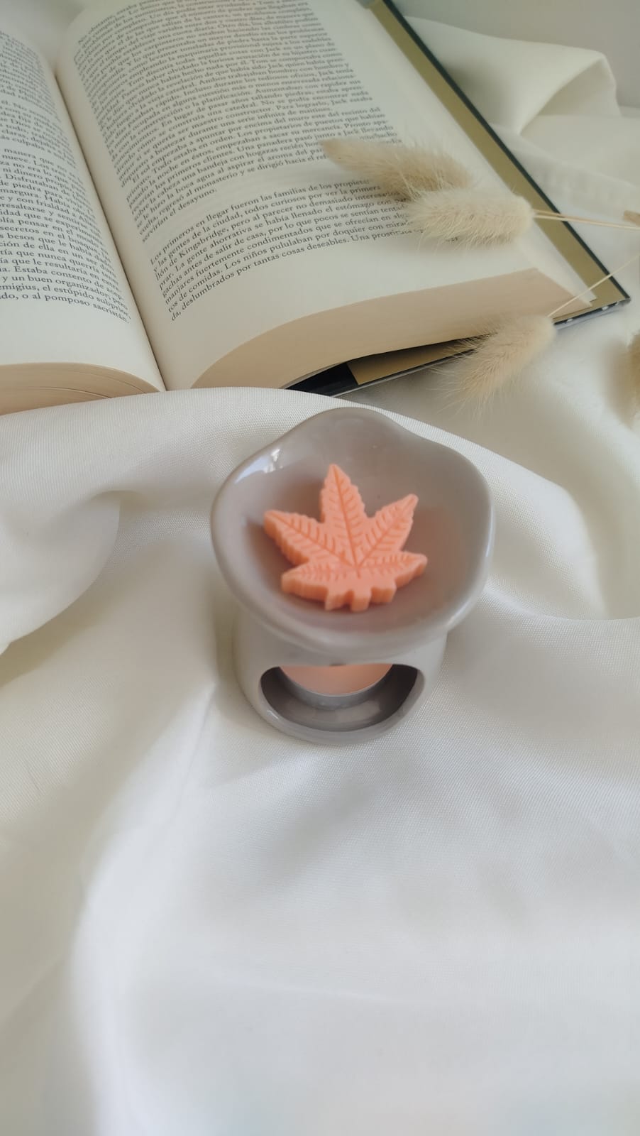 Wax Melts
